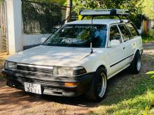 Toyota Corolla EE96 1989 Car