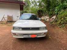 Toyota Corolla EE96 Wagon 1990 Car