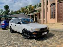 Toyota Corolla Elephant Back 1997 Car