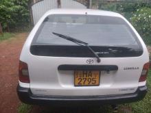 https://riyasewana.com/uploads/toyota-corolla-elepannt-82005126584.jpg