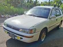 Toyota Corolla Elephant Back Dx 1999 Car