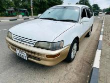 Toyota Corolla Elephant Back 1993 Car