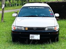 Toyota Corolla Elephant Back 1998 Car