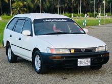 Toyota Corolla Elephant Back 1998 Car