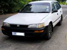 Toyota Corolla Elephant Back 1993 Car