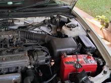 https://riyasewana.com/uploads/toyota-corolla-elephant-1818042817216.jpg
