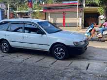 Toyota Corolla Elephant Back 1993 Car