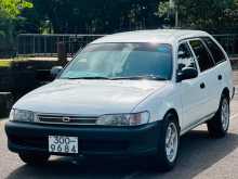 https://riyasewana.com/uploads/toyota-corolla-elephant-1995-712042212974.jpg