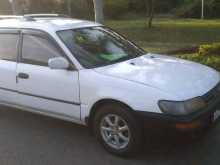 Toyota Corolla Elephant Back 2000 Car