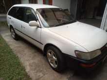 Toyota Corolla Elephant Back 2000 Car