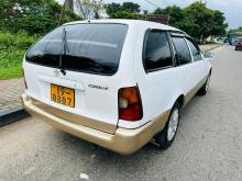 Toyota Corolla Elephant Back 1993 Car
