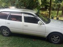 https://riyasewana.com/uploads/toyota-corolla-elephant-221255366335.jpg