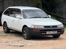 Toyota Corolla Elephant Back 1991 Car