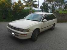 https://riyasewana.com/uploads/toyota-corolla-elephant-2484224423.jpg