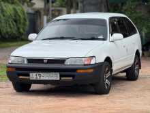 https://riyasewana.com/uploads/toyota-corolla-elephant-258155623002.jpg