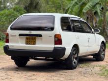https://riyasewana.com/uploads/toyota-corolla-elephant-258161724063.jpg