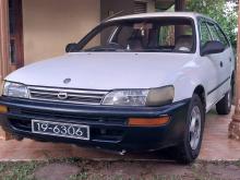 Toyota Corolla Elephant Back 1993 Car