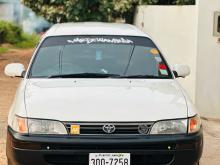 Toyota Corolla Elephant Back 1998 Car