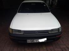 https://riyasewana.com/uploads/toyota-corolla-elephant-29053417695.jpg