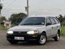 https://riyasewana.com/uploads/toyota-corolla-elephant-2914155522892.jpg