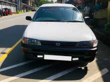Toyota Corolla Elephant Back 1999 Car