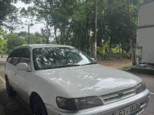 Toyota Corolla Elephant Back L Touring AE100 Wagon 1998 Car