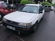 Toyota Corolla Elephant Back Wagon 1995 Car