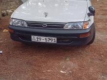 Toyota Corolla Elipantback 1995 Car