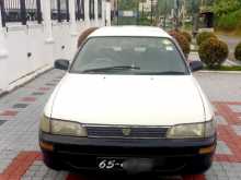 Toyota Corolla Eliphant Back 1996 Car