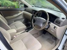 https://riyasewana.com/uploads/toyota-corolla-nze121-32141306225.jpg