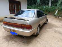 https://riyasewana.com/uploads/toyota-corolla-se-81901354592.jpg
