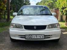 Toyota Corolla Sprinter 110 Crystal Light 1999 Car