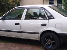 https://riyasewana.com/uploads/toyota-corolla-sprinter-1997-2413514613004.jpg