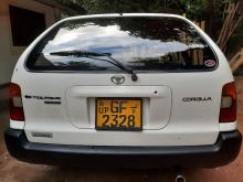 Toyota Corolla Wagon Elephant Back 1997 Car