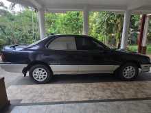 https://riyasewana.com/uploads/toyota-corolla-vista-1995-1116084612443.jpg