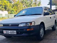 Toyota Corolla Wagon Elephant Back 1996 Car