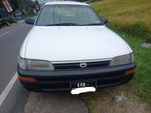 https://riyasewana.com/uploads/toyota-corolla-wagon-177574217316.jpg