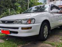 Toyota Corolla Wagon Elephant Back 1997 Car