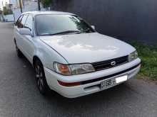 Toyota Corolla Wagon Elephant Back 1997 Car