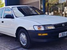 Toyota Corolla Wagon Elephant Back 1996 Car