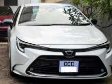 Toyota Corolla WXB Limited Edition 2022 Car