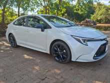 Toyota Corolla WXB 2024 Car