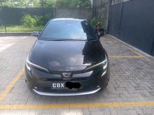 Toyota Corolla Wxb 2023 Car