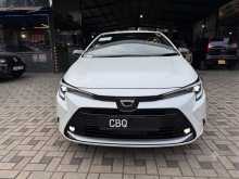 Toyota Corolla WxB 2023 Car