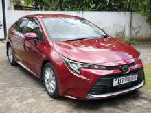 Toyota COROLLA WXB 2023 Car