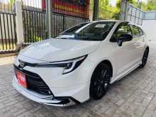Toyota Corolla WXB 2023 Car