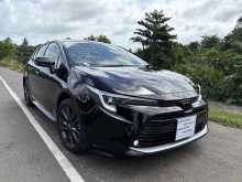 Toyota Corolla WxB 2024 Car