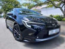 Toyota Corolla WXB 2023 Car