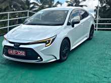 Toyota Corolla WXB 2023 Car