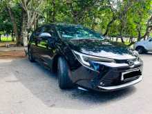 Toyota Corolla WXB 2023 Car